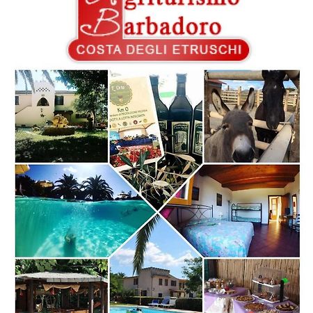 Agriturismo Barbadoro サン·ヴィンチェンツォ エクステリア 写真