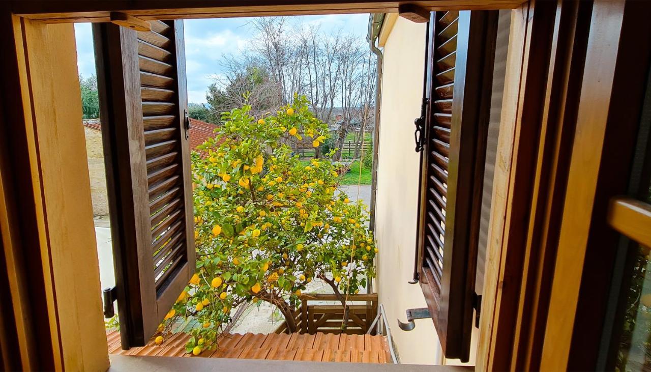 Agriturismo Barbadoro サン·ヴィンチェンツォ エクステリア 写真