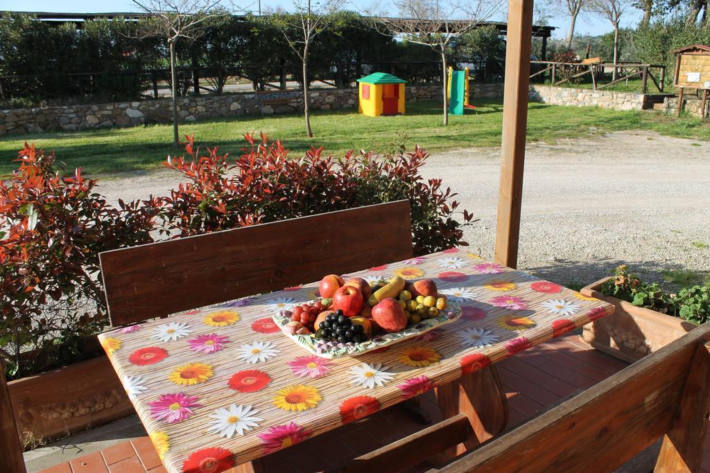 Agriturismo Barbadoro サン·ヴィンチェンツォ 部屋 写真