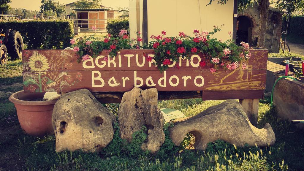 Agriturismo Barbadoro サン·ヴィンチェンツォ 部屋 写真