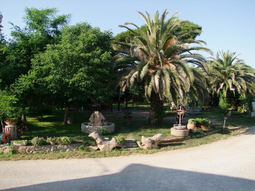 Agriturismo Barbadoro サン·ヴィンチェンツォ エクステリア 写真