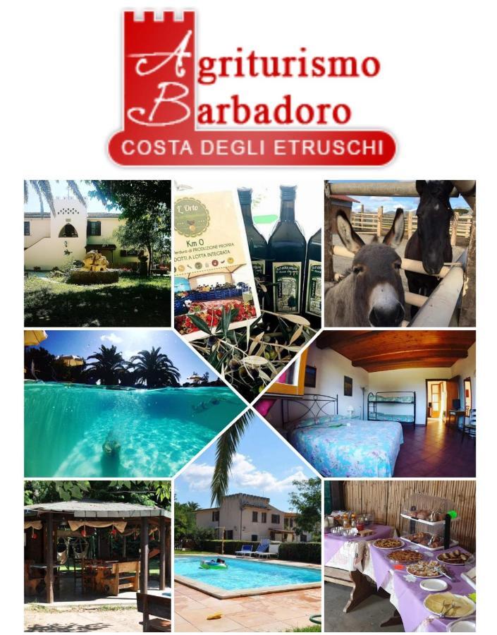 Agriturismo Barbadoro サン·ヴィンチェンツォ エクステリア 写真